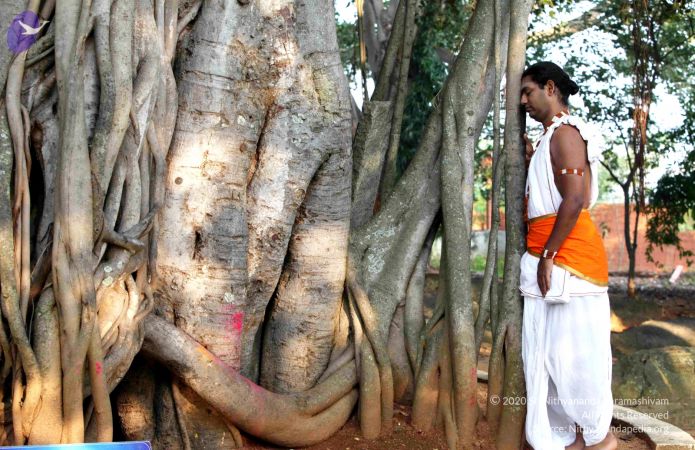 20111019 Photo 1002 1HU84N19wzxRAFr48y3G 7DJWSBpmHjG6.JPG