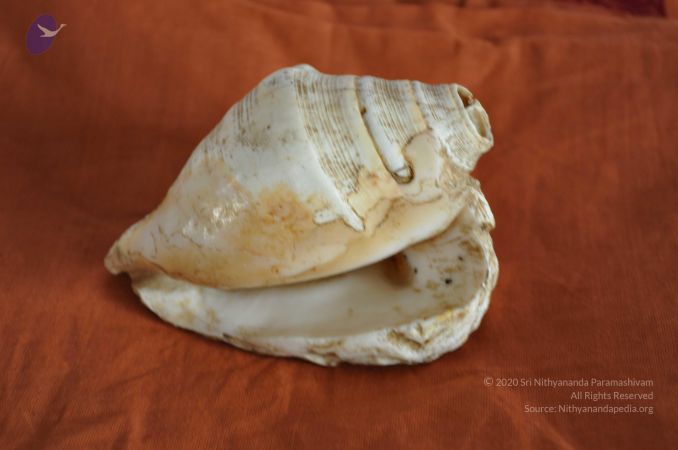 20111024 Photo 1131 1F-L2NmG8IKSQb-TOs8gAvyUvMtkhkocv.JPG