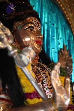 20111025 Photo 1030 1DgWtOweakDtB5RsUNt2w0wM6Blr-RuxD.JPG