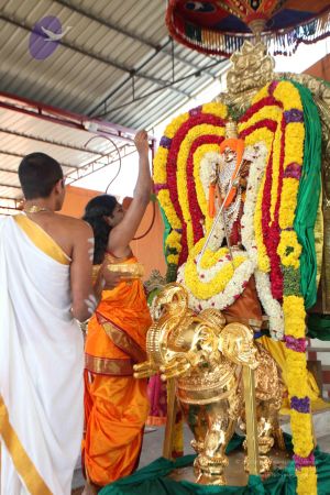 20111026 Photo 1198 1-h4VqQohtcZYtyapw1jKhMyTpmkTS94M.JPG