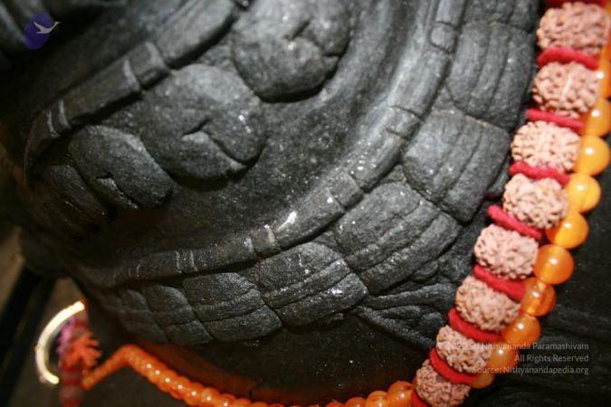 20111026 Photo 1388 1BGgWqR1sBALRE4JxrYdpI7mXbite7SMj.JPG