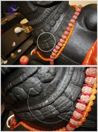 20111026 Photo 1390 1qeNMxIu3eqVM4R7vnzntrwngpwdv2OHS.JPG