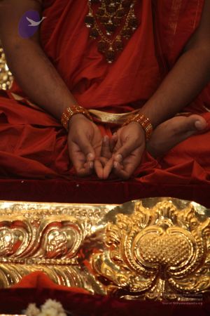 20111027 Photo 1006 18yV7E9qsdb36JTa TgwpiQHSMBbA ClA.JPG