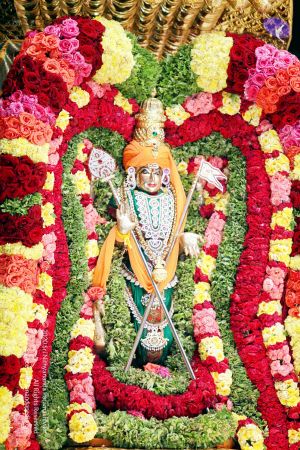 20111029 IMG 6730 CMP WM111.jpg