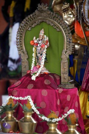 20111029 IMG 6905 CMP WM111.jpg