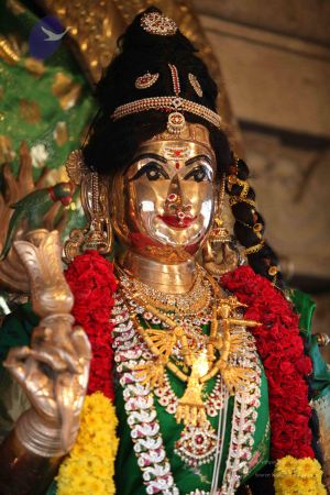 20111029 Photo 1019 1GT0mHhNyCOmA2Ejq7txK6gRiXa4SWXfi.JPG