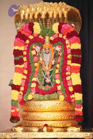 20111029 Photo 1071 1Hb8unpqovPwphL53pHDjYyqn4iZ1q0CV.JPG