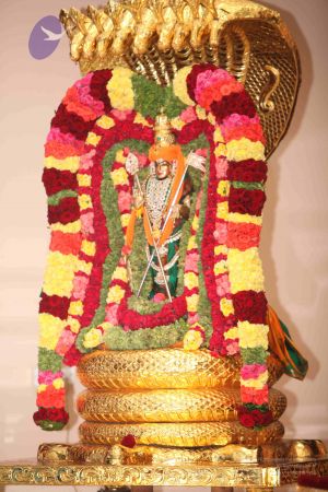 20111029 Photo 1162 1gkJYTZdNbpB xxMTye7G5mV9-Whv8Jx4.JPG