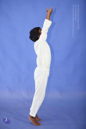 20111029 Photo 1630 1M73yfDh7NdfVVZVlwTkqyBe9l3VwiUtH.JPG