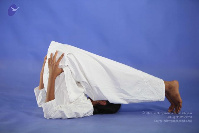 20111029 Photo 1655 1sqtRcQWnk2nnTfOKFPBgf3JlHh7MEJ2Y.JPG