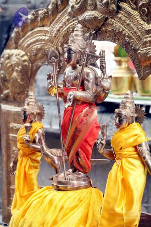 20111101IMG 8211 CMP WM001.jpg