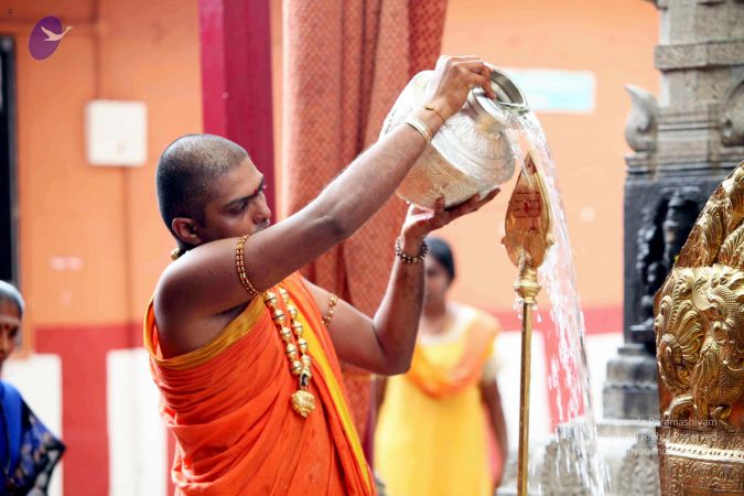 20111101IMG 8243 CMP WM001.jpg