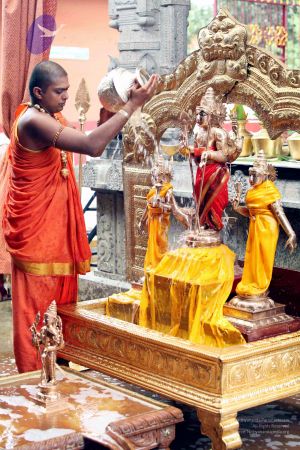 20111101IMG 8273 CMP WM001.jpg