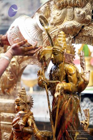 20111101IMG 8280 CMP WM001.jpg