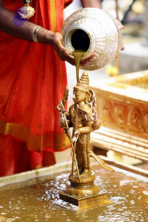 20111101IMG 8282 CMP WM001.jpg