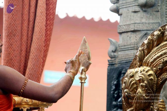 20111101IMG 8286 CMP WM001.jpg