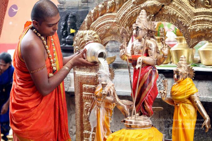 20111101IMG 8327 CMP WM001.jpg