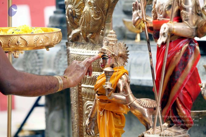 20111101IMG 8343 CMP WM001.jpg