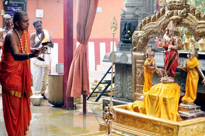 20111101IMG 8350 CMP WM001.jpg