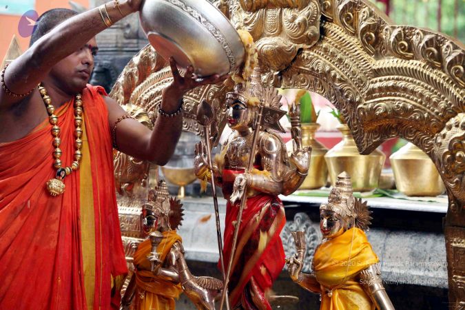 20111101IMG 8357 CMP WM001.jpg