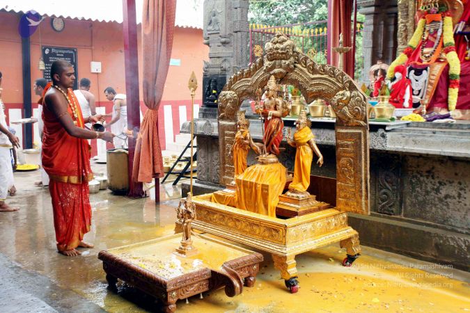 20111101IMG 8447 CMP WM001.jpg