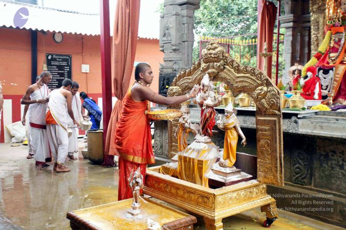 20111101IMG 8465 CMP WM001.jpg