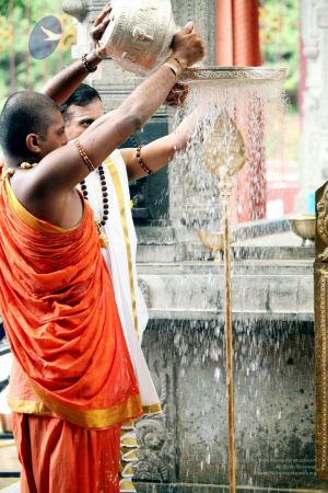 20111101IMG 8507 CMP WM001.jpg