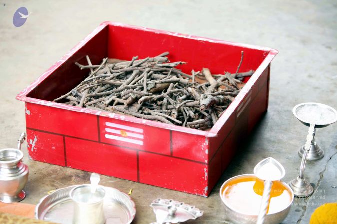 20111101IMG 8594 CMP WM00100.jpg