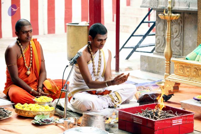 20111101IMG 8639 CMP WM00100.jpg