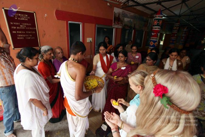 20111101IMG 8686 CMP WM00100.jpg