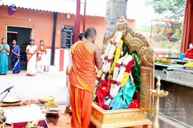 20111101IMG 8701 CMP WM00100.jpg