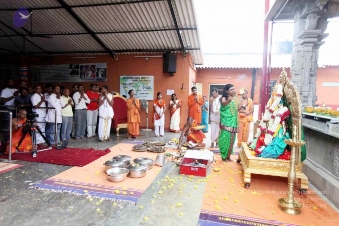 20111101IMG 8740 CMP WM00100.jpg