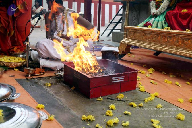 20111101IMG 8804 CMP WM00100.jpg