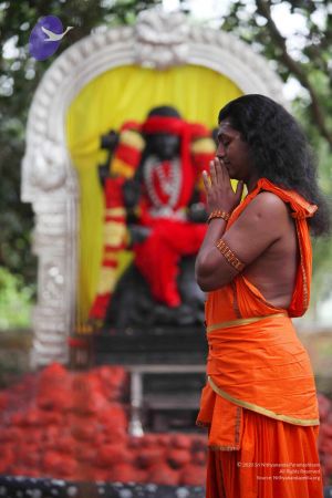 20111102 Photo 1007 1h7tdtmParxakfkcPGE xZRLbInD8ciIr.JPG