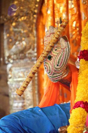 20111103 Photo 1011 1h8Im TxcwmK2kOrmNqsnVHhh0RMJZSHa.JPG