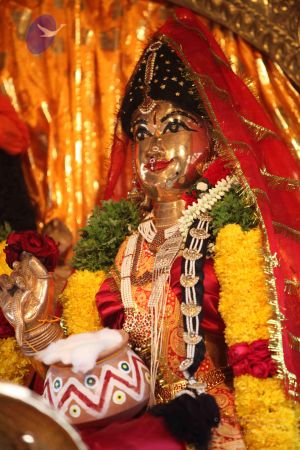 20111103 Photo 1032 1 6DuXLBJvNU5bPcSUXfGQEggXjsEVEp4.JPG