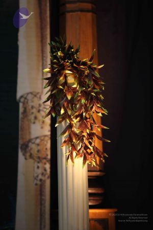 20111103 Photo 1080 1YOx8j9PzZkb7krEQxTr-C7hdaARLFiQs.JPG