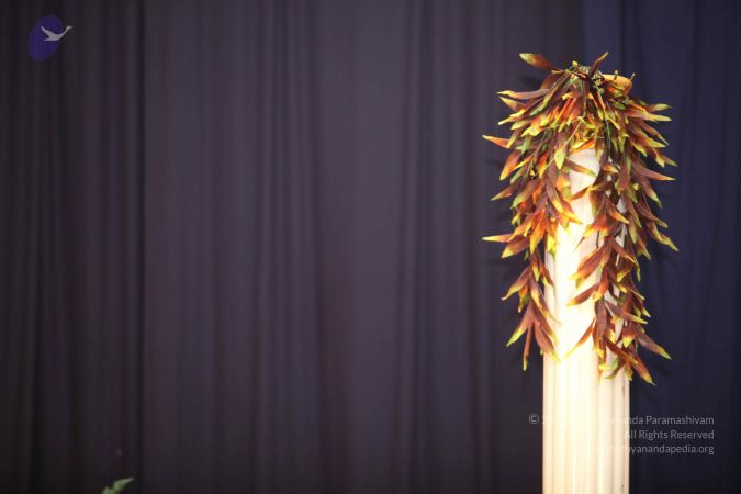 20111103 Photo 1219 1yXXrillkMIuRFcu1V QqBzxCz6NFWUOy.JPG