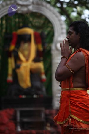 20111105 Photo 1008 12u1sC3LCc1daqAwLs UlpK8sidOh6LCF.JPG