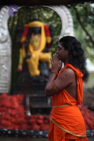 20111106 Photo 1017 1Q0CTDEQsDTBdscqj3F1KaaR8vglo1luw.JPG