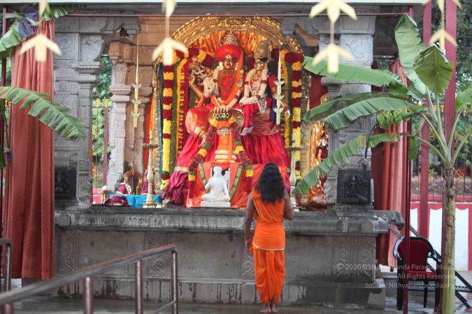 20111106 Photo 1023 1o9DMH1 i1vktPJ3hwAKQFzGJoxyjbour.JPG