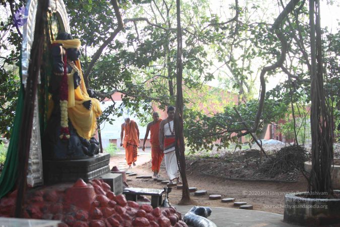 20111107 Photo 1006 15nriODES1ZpqwnW3LcYC-VRiNosbaMRr.JPG