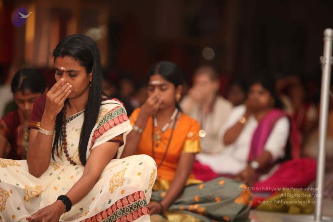 20111107 Photo 1211 1NO4r8cn-BfZsNXtPj0hmSnSA-Cu5aOJO.JPG