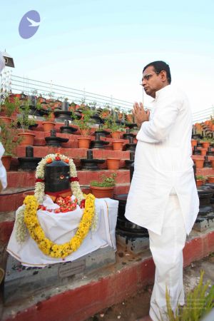 20111107 Photo 1367 1CT4fm3ygkE9nkUxVtnI0MbixqKJOyGDS.JPG