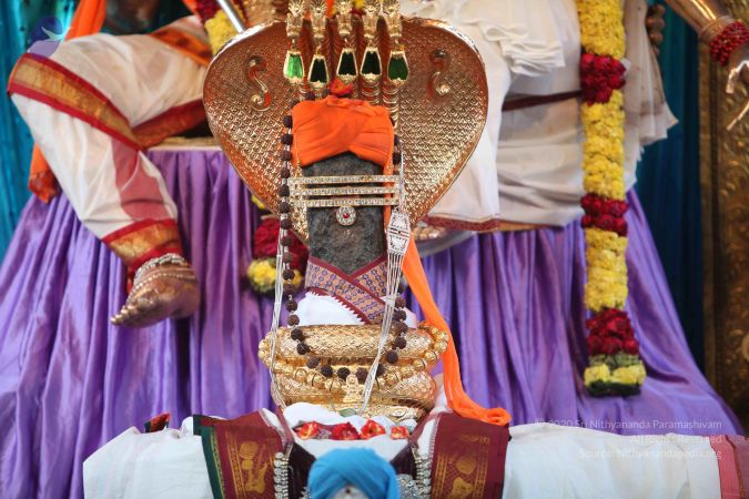 20111109 Photo 1012 1Cgc1umrqEoLHx0gDH55JhnStfqHSsEri.JPG