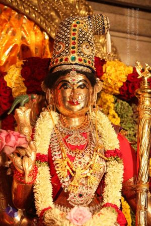 20111111 Photo 1030 18cNVG3xwQEWwQTAxTeagw5dXZavpKSgL.JPG