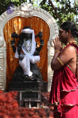 20111111 Photo 1045 1Nw UM7ocsVELjf5RTviPZ26POogs4v5K.JPG