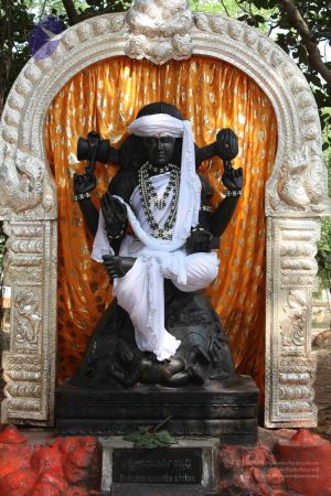 20111111 Photo 1050 1fgDS--lK2GcdBFlnNxa4WkNiNUnloIeu.JPG