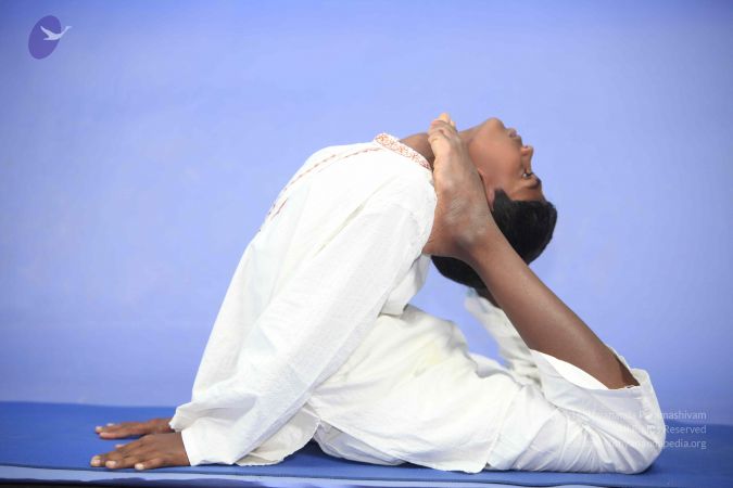 20111112 Photo 1144 1EDyEUkJh9DiAGk6OcfPO8A8kit jefY-.JPG