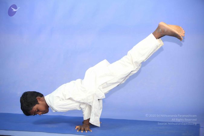 20111112 Photo 1183 1ZkIubFZqtvhjvthU4ryKb5SUWfA6NECi.JPG